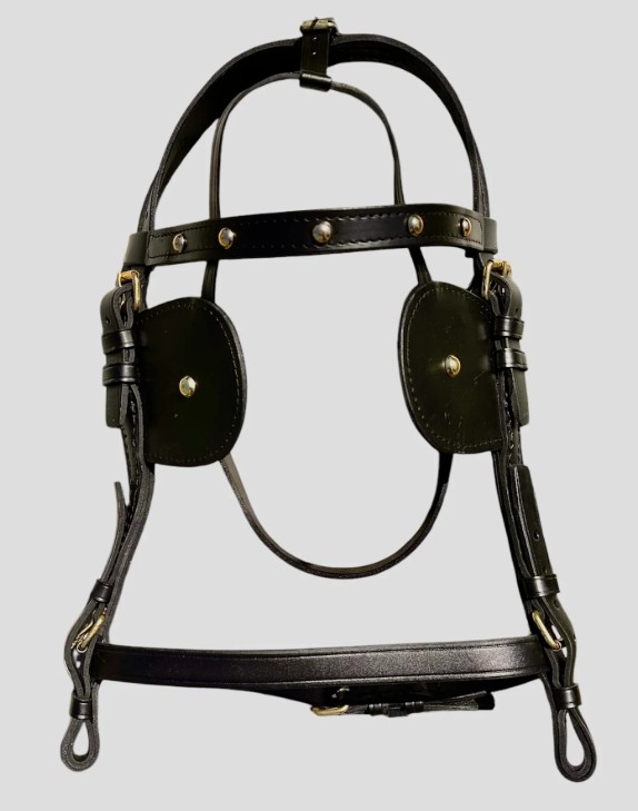 Szemzős fogatos kantár